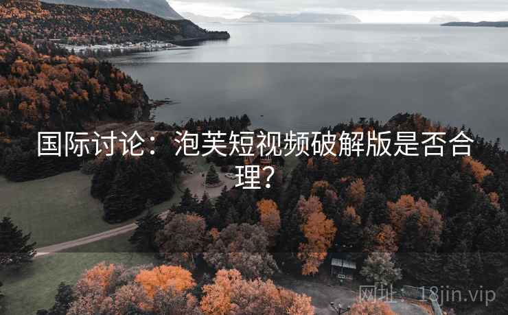 国际讨论：泡芙短视频破解版是否合理？